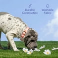 thumbnail image 6 of Oodles Polyester Wild Blooms Adjustable Floral Fashion Dog Collar, Red, Small, 6 of 9