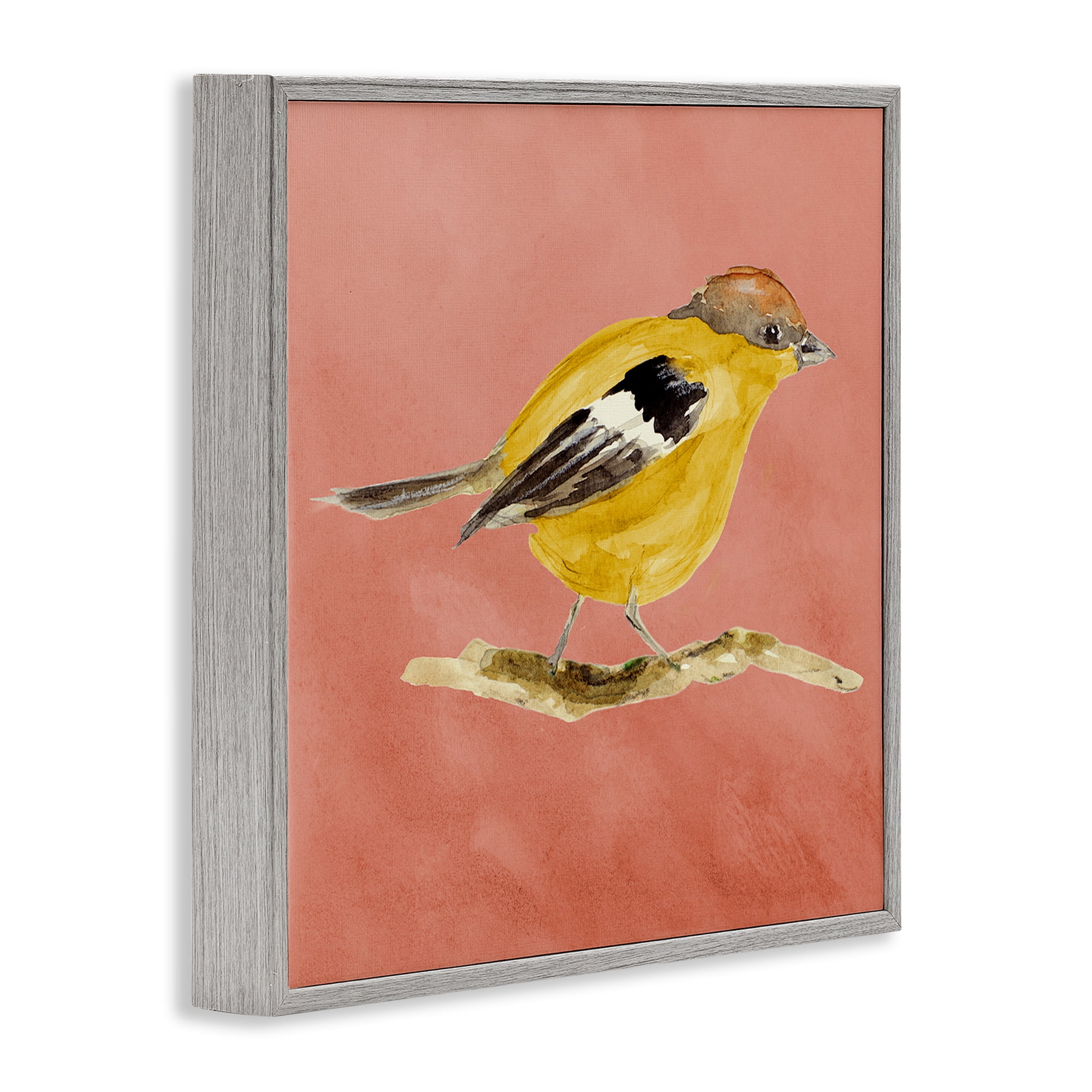 Stupell Industries Traditional Wren Bird Animals & Insects Painting Gray Framed Art Print Wall Art, 24 x 24