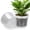 8 Inch-10pcs, variant on Inch Large Clear Nursery Pots with Drainage Hole, Plastic Plant Pots for Seedling Flower Vegetable, Indoor Outdoor Gardening, Used as Liner Inside Decorative Pot