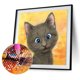 thumbnail image 1 of Cuadros Decorativos Lindo gato divertido diamante pintura 5D DIY taladro redondo completo cuadro de diamantes de imitación DQrwqpou Nuevos Originales, 1 of 9