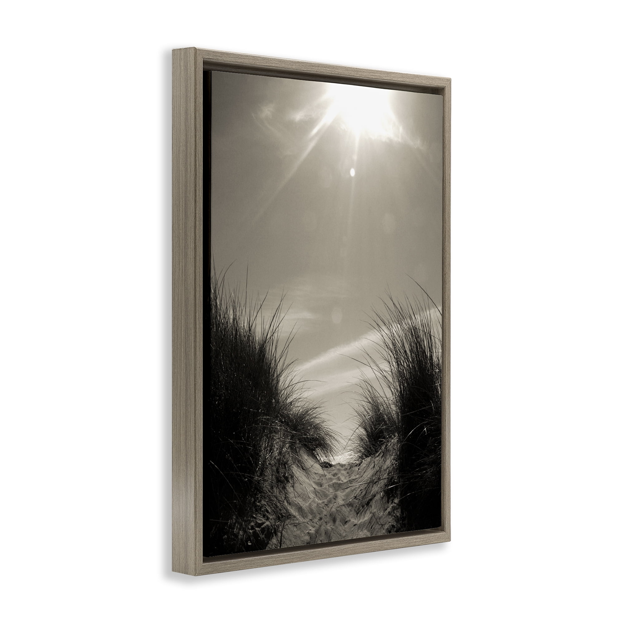 Stupell Industries Dune Valley Landscape Coastal Photography Brown Floater Framed Canvas Art Print Wall Art, 21 x 31