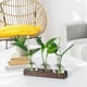 thumbnail image 3 of Plants Propagation Stations Glass Vase Station Retro Plant Terrarium with Wooden Tray Bulb Flower Vase Home Office Decor, 3 of 5