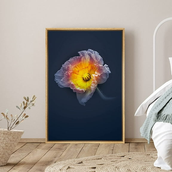 PixonSign Framed Canvas Print Wall Art Blue and Orange Poppy Close-Up Botanical Plants Photography Modern Art Contemporary Dramatic Multicolor Ultra for Living Room, Bedroom, Office - 24"x36" Natural