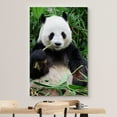 thumbnail image 3 of wall26 Canvas Print Wall Art Giant Panda Chewing on Bamboo Shoot Animals Wildlife Photography Modern Art Tropical Scenic Relax/Calm Multicolor Colorful for Living Room, Bedroom, Office - 16"x24&, 3 of 5