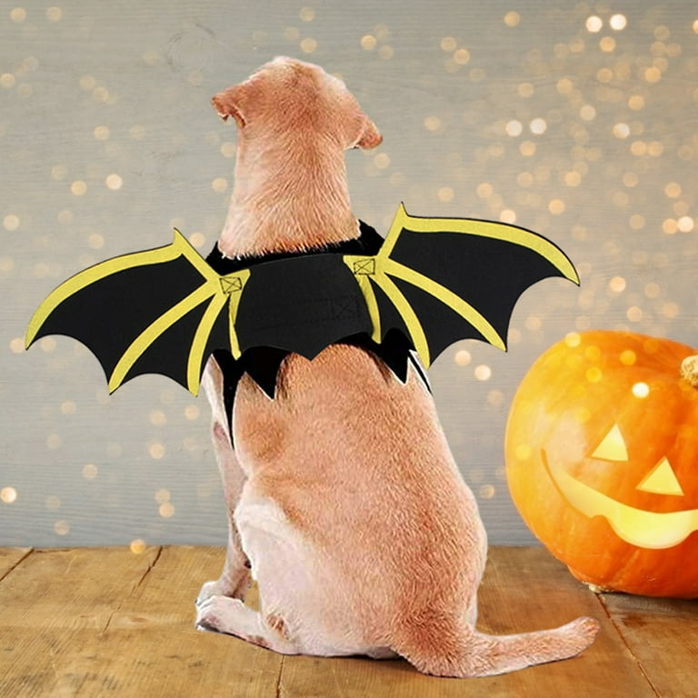 Dog bat wings costume top