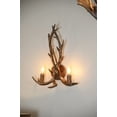 thumbnail image 4 of Lámpara de pared AFD Home Antler, 4 of 5
