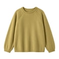 thumbnail image 3 of Iyufng Womens Crew Neck Raglan Sleeve Knit Pullover Sweaters Casual Long Sleeve Top, 3 of 4