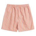 thumbnail image 3 of Men's Vertical Stripes Swim Trunks Mesh Lining Drawstring Board Shorts Quick Dry Beach Sports Shorts with Pockets, 3 of 4