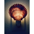thumbnail image 3 of Seashell Night Light Real Purple Pecten Shell Beach Decor w. Light Sensor Beautiful Coastal Cottage, 3 of 3