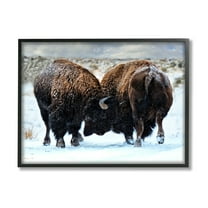 Stupell Industries Fighting Bison Snow Scene Animals & Insects Photography Black Framed Art Print Wall Art, 30 x 24