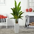 thumbnail image 3 of Nearly Natural 69" Travelers Palm Artificial Tree in White Tower Planter, 3 of 3