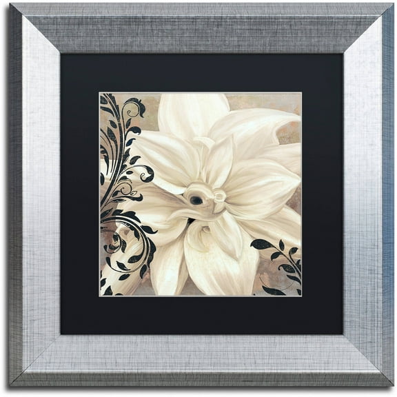 Trademark Fine Art "Winter White II" Canvas Art by Color Bakery Black Matte, Silver Frame