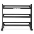 Philosophy Gym Commercial 3Tier Dumbbell Weight Rack, HeavyDuty