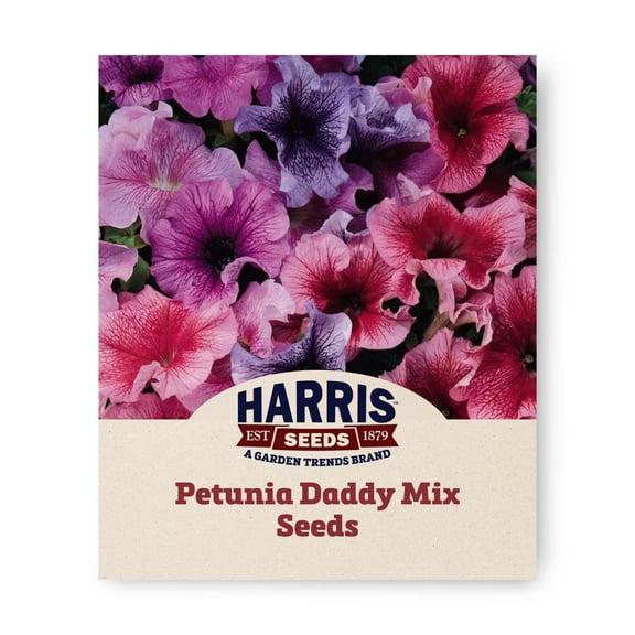 Harris Seeds - Petunia Daddy Mix F1 Seeds - Extra-Large Ruffled Flowers - 50 Pelleted Seeds