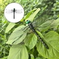 thumbnail image 2 of KRONDO 10pcs Artificial Dragonfly Hat Clip, Realistic 3D Fake Dragonflies, 5.5" Wing, 3.7" Height, PVC, Outdoor Garden Camping Decor, 2 of 8