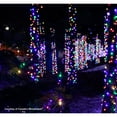 thumbnail image 2 of DLIG Glacier LED Wide Angle Christmas String Lights - Turquoise Blue - 25.17 ft Green Wire - 50ct, 2 of 4