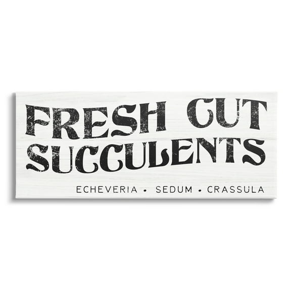 Stupell Industries Fresh Cut Succulents Antique Style Grainy Sign Graphic Art Gallery Wrapped Canvas Print Wall Art, Design by Daphne Polselli