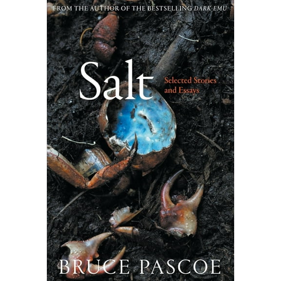 Salt: Selected Stories and Essays (Paperback)