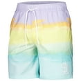 thumbnail image 2 of Men's G-III Sports by Carl Banks San Diego Padres Perfect Game Volley Board Shorts, 2 of 3