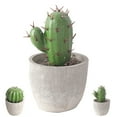 thumbnail image 2 of Coofit Artificial Cactus Mini Elegant Simulated Fake Potted Plant Desk Decoration, 2 of 8