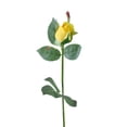 thumbnail image 6 of Allstate Long Stem Single Rose Bud Artificial Floral Spray - 23" - Yellow, 6 of 8
