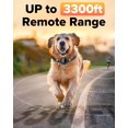 thumbnail image 4 of Collar de adiestramiento para perros XDX 2 en 1 Shock Bark Remote 1000 m, 4 of 7