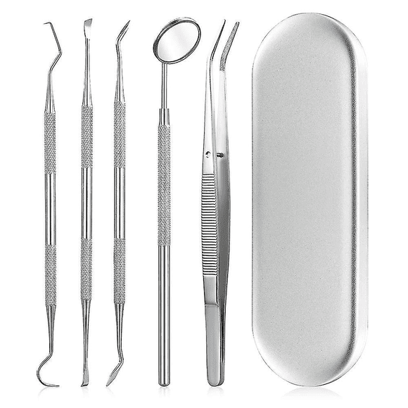 Ensemble de 5 Pcs +boîte Argentée Trousse de Soins Dentaires pour l'Élimination de la Plaque Ensemble d'Outils Incluant Miroir de Dentiste et Grattoirs à Tartre