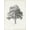 Unframed, variant on Art.com Vintage Arbor Study I Stretched Canvas Print Wall Art by Ethan Harper, 12" x 16"