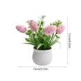 thumbnail image 3 of Mlkoz Easter Spotted Egg Simulation s Easter Egg Mini Potted s, Home Decor, 3 of 7