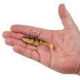 thumbnail image 5 of PowerBait® Agent E, 5 of 6