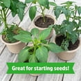 thumbnail image 7 of (3 pack) Back to the Roots Organic Coco Coir Value Pack, 10 lb Compressed Bag, 7 of 7