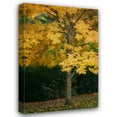 thumbnail image 1 of Vitaly Geyman 31x44 Gallery Wrapped Canvas Wall Art Titled - Fall Maple Fever VII, 1 of 4
