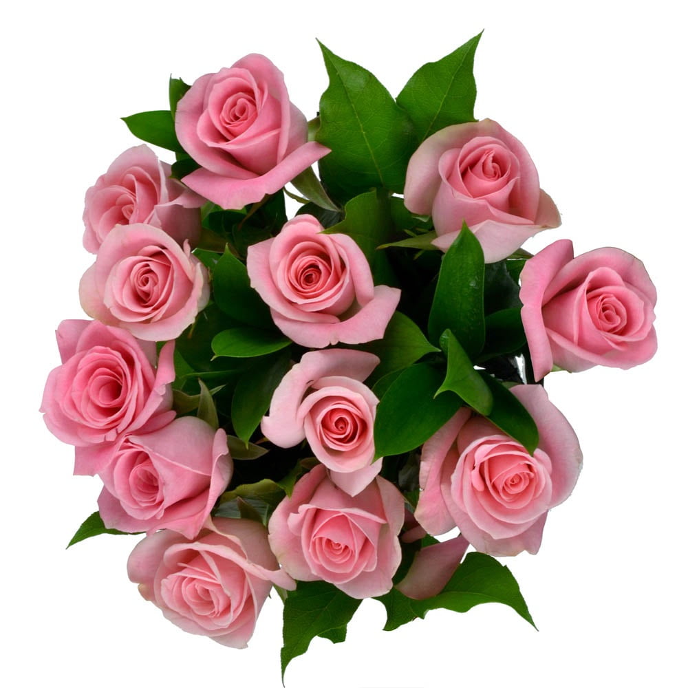 Pink Roses with Premium Greens, One Dozen, No Vase