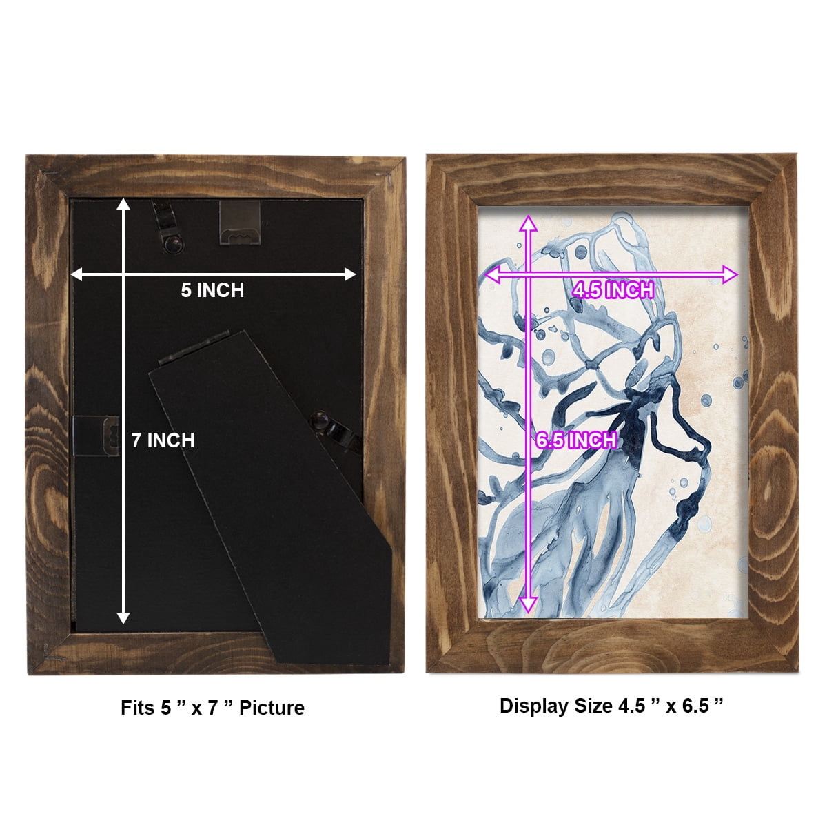 Water Shells I - Framed Print w/glass - Walnut