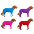 thumbnail image 4 of Dog Onesie Prevent Shedding Hair Surgery Recovery Suit Pets Bodysuit Sport Shirt Reduce Anxiety Jumpshirt Four Leg Clothes,S-XXL, 4 of 5