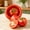 Red, variant on Reusable Silicone Fruit Vegetable Food Covers, Stretch Washable Storage Lids, Eco Friendly Alternative to Plastic Wrap for Onion Tomato Lemon Avocado Fresh Keeping