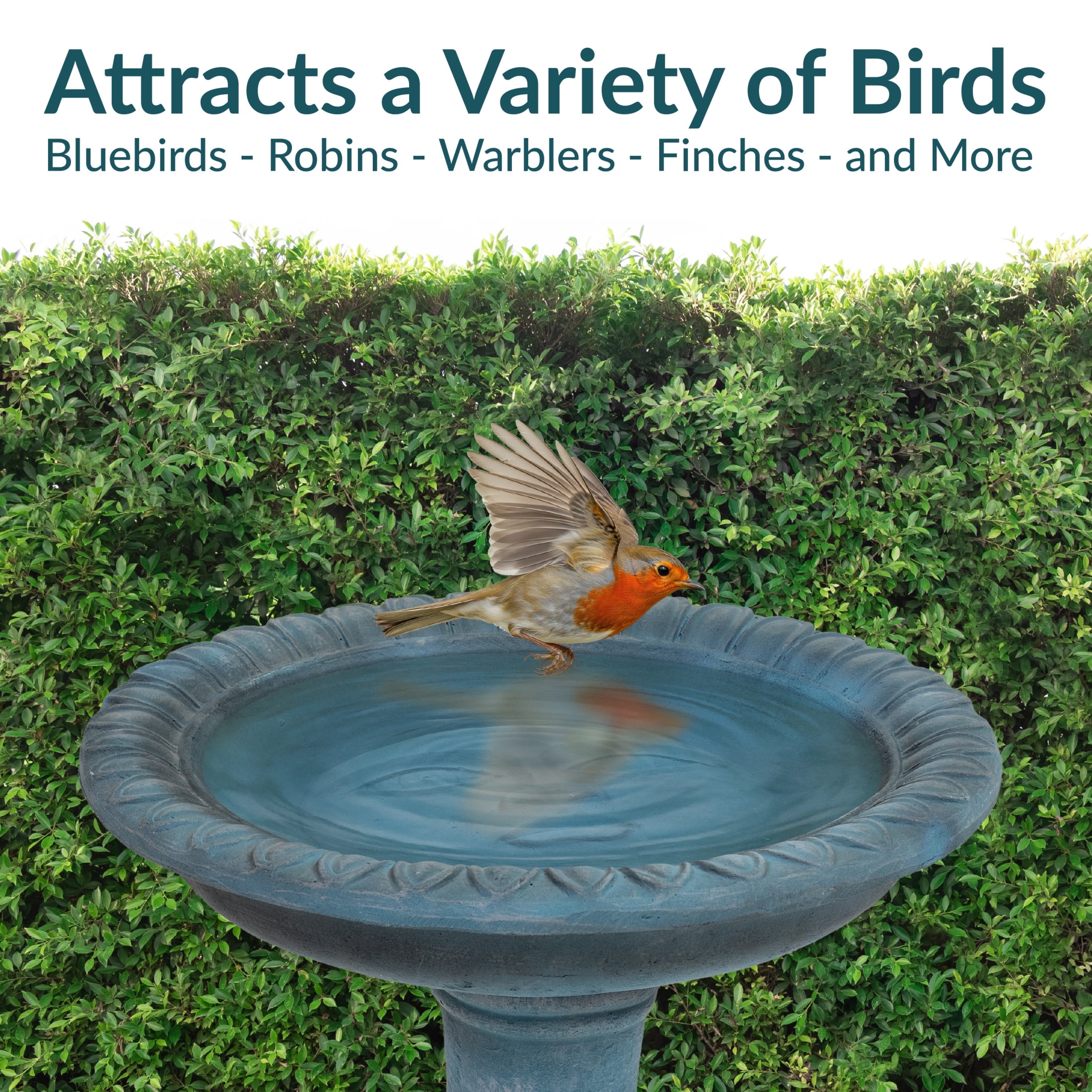 Sunnydaze Facade du Soleil Freestanding Glass Fiber Reinforced Concrete Outdoor Bird Bath, Green