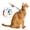 Rainbow, variant on TETOU Cat Harness and Leash Set Escape Proof Adjustable Walking Travel Kitten Dogs Harness - Rainbow