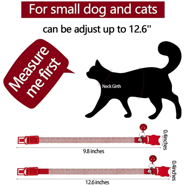 Cat collars cheap near me