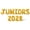 Gold, variant on Letter Balloons - JUNIORS 2028 16" Inch Alphabet Letters Foil Mylar Balloon Junior Year Party Banner (Purple)