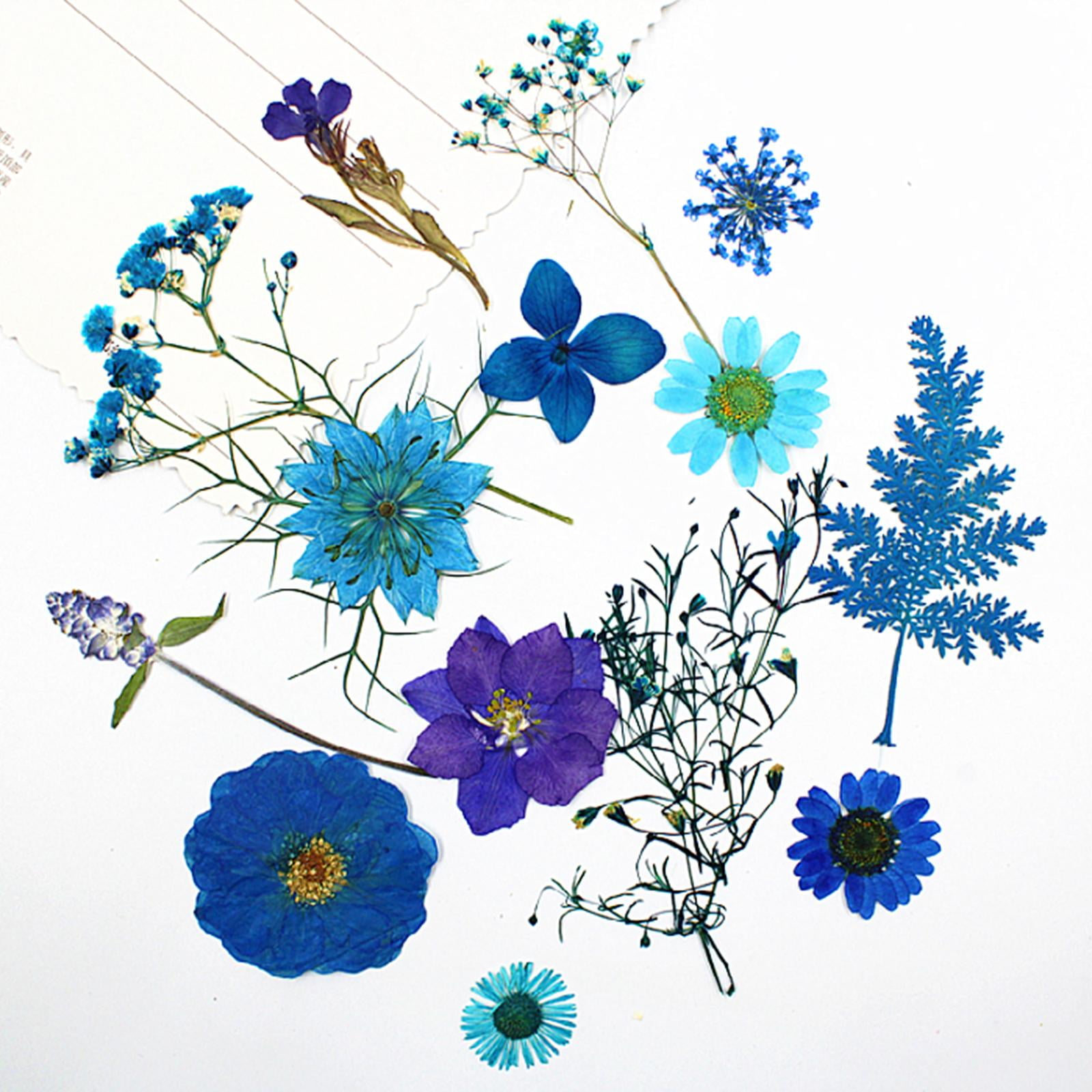 HEISENLIN Blue Dried Pressed Flowers Hydrangea with Stem for Resin Crafts  Embellishments, 42PCS Natural Pressed Flowers for Resin Jewelry DIY Phone