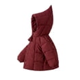 thumbnail image 2 of OGLCCG Hooded Puffer Jackets for Girls Lightweight Warm Quilted Winter Coat for Girls Full Zip Cute Down Jacket with Pockets(Wine,1-2 Years), 2 of 6