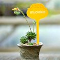 thumbnail image 2 of 20Pcs Flower Shaped Decorative PP Gardening Label Tree Plant Markers Tag Stake, 2 of 10