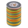 thumbnail image 1 of veasfak Rainbow Waxed Polyester Thread Flat Hand Sewing Stitching Cord 90m, 1 of 7