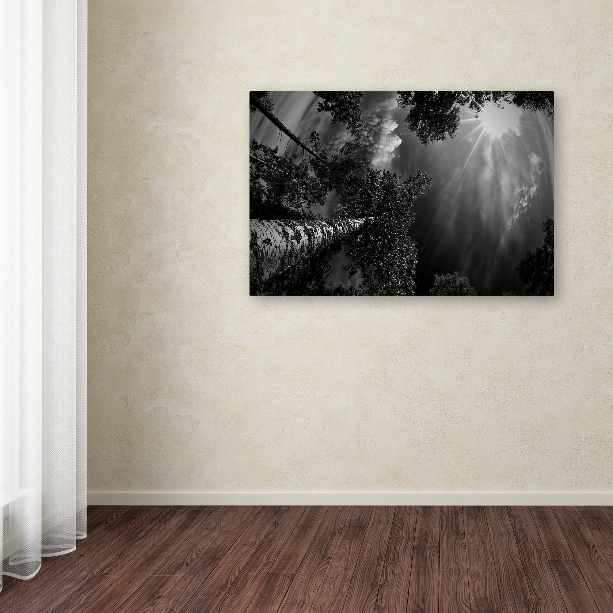 Mikael Jigmo 'Dreaming Before The Thunder' Canvas Art