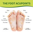 thumbnail image 3 of 10Pcs Herbal Detox Foot Patch Body Detoxification Deep Cleansing Hypoglycemic Foot Patch, 3 of 5