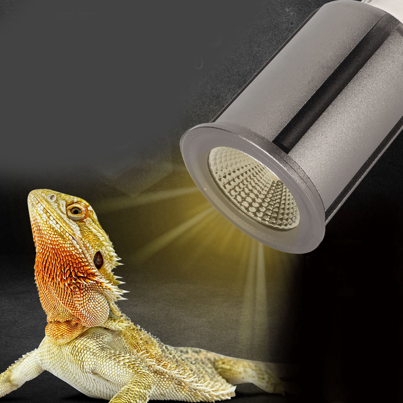Nieyigj Reptile Heat Lamp Replacement Bulb UVA UVB LED Basking Spot Lamp for Turtle Lizard Habitat 110V 3W