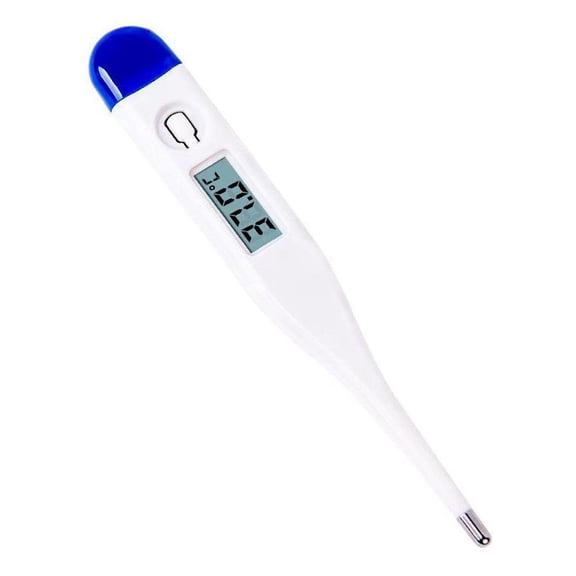 Electronic Thermometer for Accurate Body and Indoor Temperature Readings with Safe Contactless Design