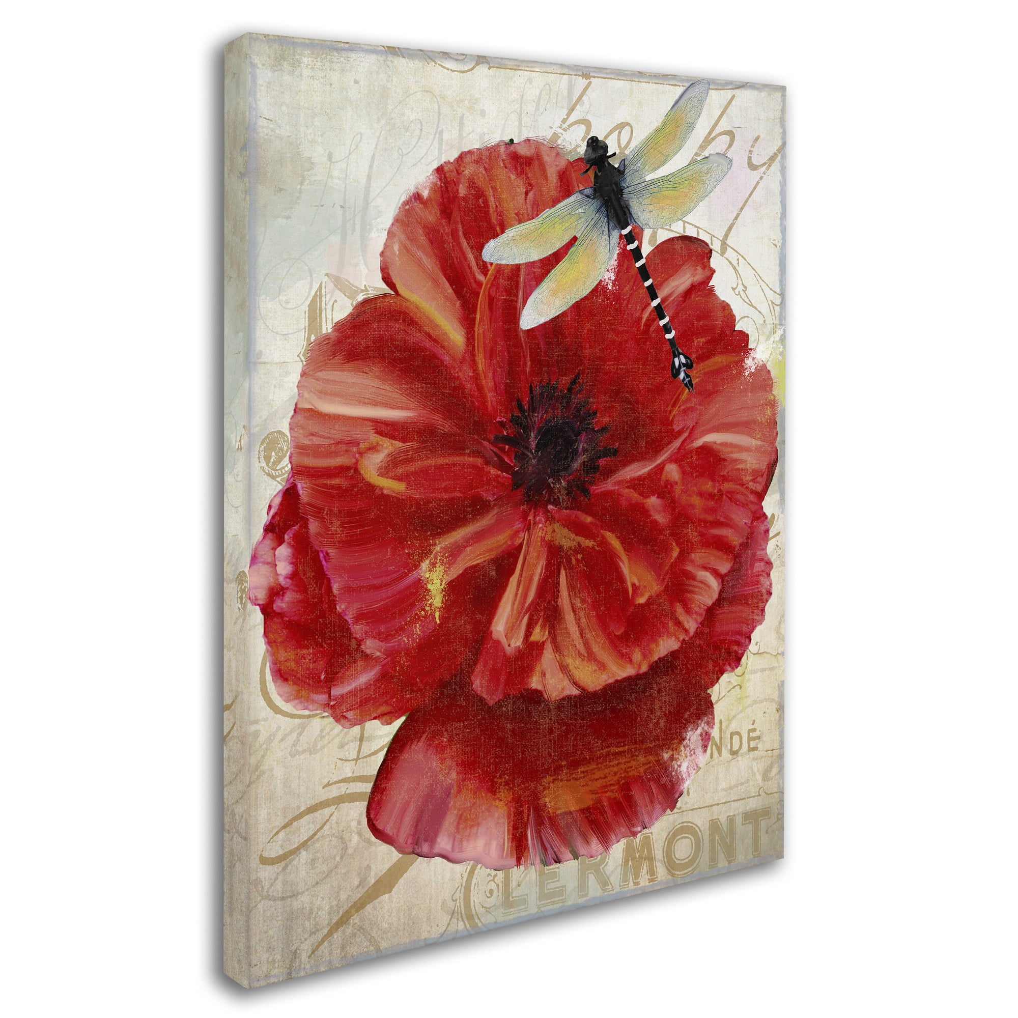 Trademark Fine Art "Le Pavot Dragonfly" Canvas Art by Color Bakery