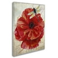 thumbnail image 3 of Trademark Fine Art "Le Pavot Dragonfly" Canvas Art by Color Bakery, 3 of 4